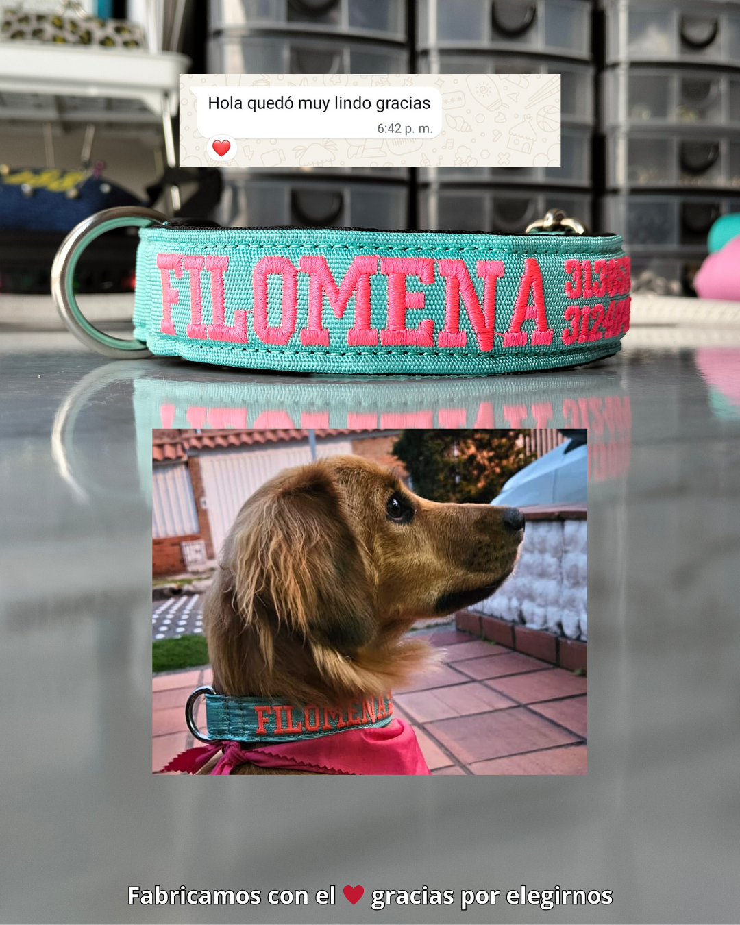 testimonio collar